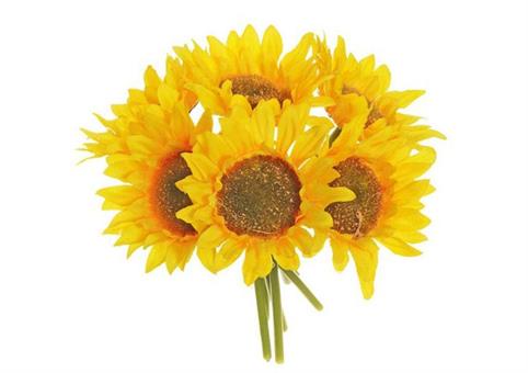 GIRASOLE cm.22 DIAM.9